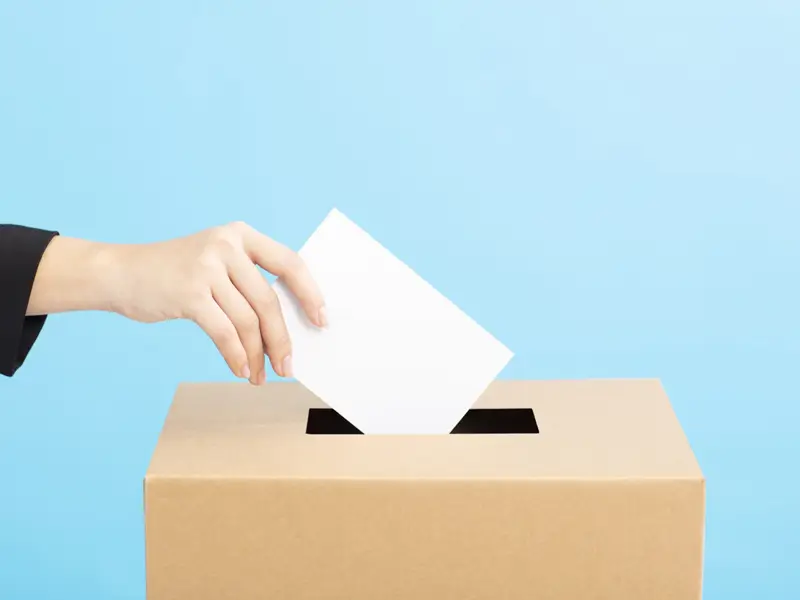 ballot boxes inner 04
